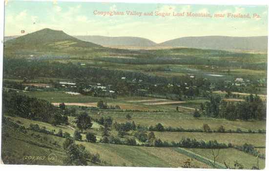 Conyngam Valley near Freeland, Pennsylvania, PA, 1911, Divided Back