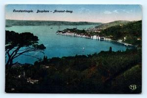 Postcard Turkey Constantinople Bosphore Arnaout Keuy K10