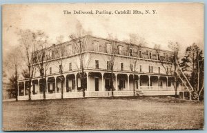 CATSKILL MTS NY THE DELLWOOD PURLING ANTIQUE POSTCARD