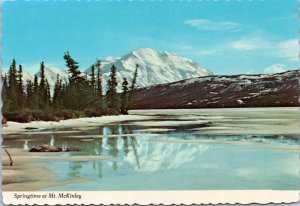 Postcard Alaska - Springtime at Mt. McKinley