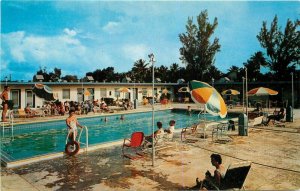 Dexter 1950s Miami Beach Florida Paradise Motel Postcard Swimming Pool 7182