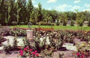 ROSE GARDEN, EISENHOWER MUSEUM. ABILENE, KS