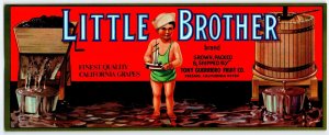 Little Brother Boy Sailboat Fresno California Grapes Crate Label Original 1960's