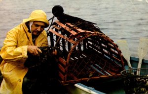 Maritime Fisherman With Prize Of His Catch