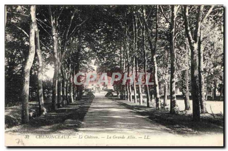 Old Postcard Chenonceaux Chateau Grand Allee