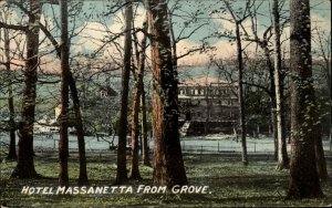 Harrisonburg VA Hotel Massanetta From Grove c1910 Postcard 