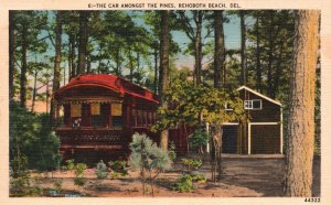 Vintage Postcard Train Car Amongst Pines Forest Trees Rehoboth Beach Delaware