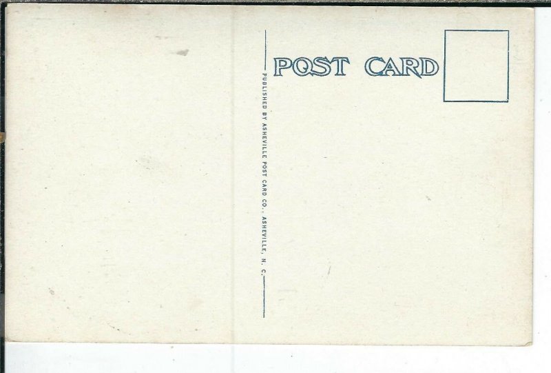 CG-328 NC, Celo, Elfinwood Lodge White Border Postcard near Burnsville