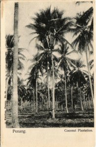 PC CPA PENANG, MALAYSIA, COCONUT PLANTATION, Vintage Postcard (b19136)