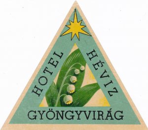 Hungary Hotel Heviz Gyongyvirag Vintage Luggage Label sk3885