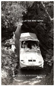 RPPC Postcard In Red Bird Gorge The Ducks, Wisconsin Dells