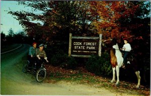 Postcard PEOPLE SCENE Between Brookville & Tionesta Pennsylvania PA AL6642