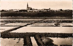 CPA BOURGNEUF-en-RETZ - Les Marais salants Panorama sur (242666)