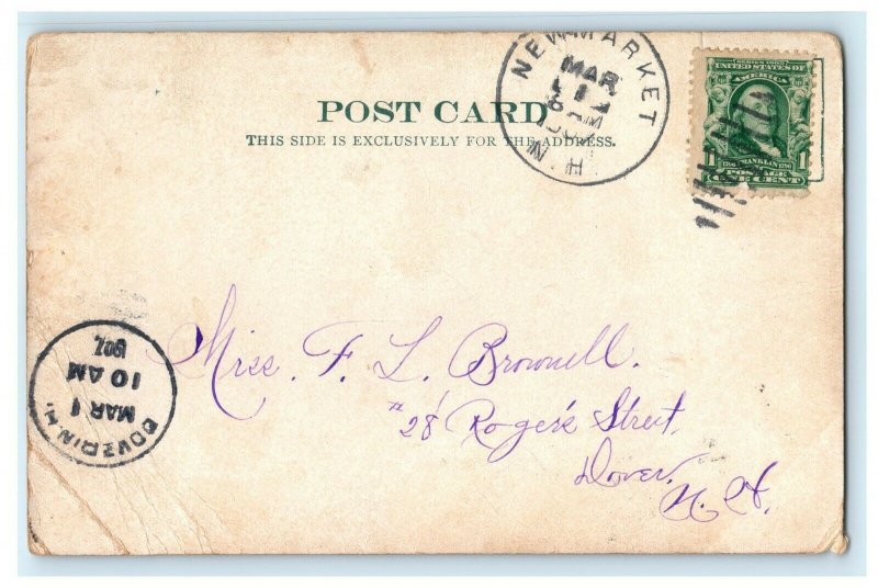 c1907 Rock Bridge Newmarket New Hampshire NH Tree Bark Border Postcard 