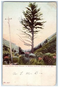 1000 Miles From Omaha In Weber Canyon Utah UT, U.P. Railway Antique Postcard