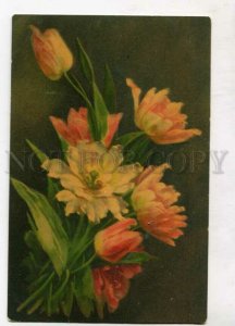 3129136 TULIPS Bouquet by C. KLEIN Vintage Color PC