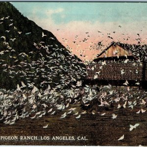 c1910s Los Angeles, CA Pigeon Ranch Flying Birds Rare View Litho Postcard A170