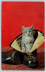 Animal~Gray Cat In Boot On Red Background~Vintage Postcard