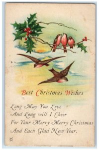 1909 Christmas Wishes Song Birds Holly Berries East River CT Antique Postcard