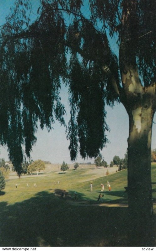 FRESNO, California, 1950-60s; Municipal Golf Course