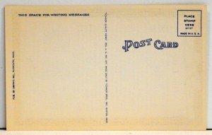 The Compact - Postcard