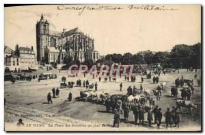 Old Postcard Le Mans Place des Jacobins a walking day Cows