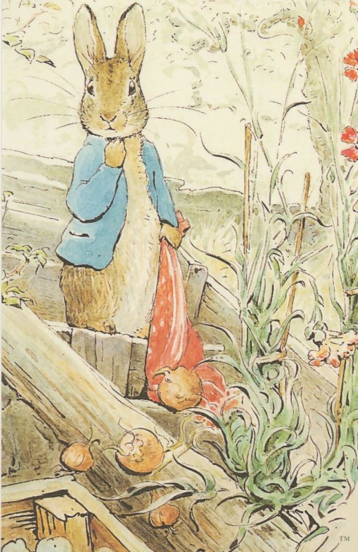 Peter Rabbit In The Tale Of Benjamin Bunny Beatrix Potter Postcard