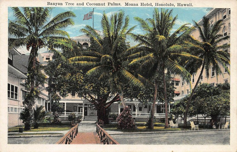 Moana Hotel, Banyan & Coconut Trees, Honolulu, Hawaii, Early Postcard, Unused 