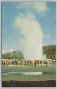 National & State Parks~Old Faithful Geyser Yellowstone Park~Vintage Postcard