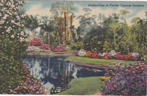 Florida Azalea Tme In Cypress Gardens Curteich