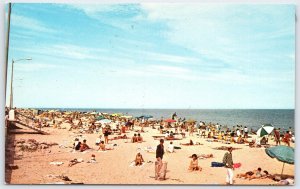 Vintage Rehoboth Beach Delaware Color Photo Postcard by F.W. Brueckmann
