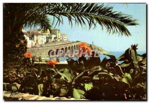 Postcard Modern Banyuls Sur Mer View the cornice