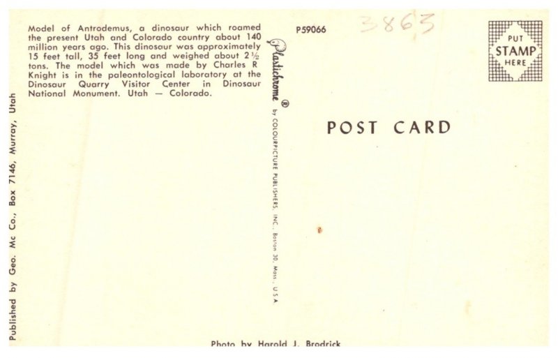 Gila Monster , Lizard