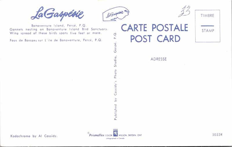 Postcard ANIMAL SCENE Perce Quebec QC AN4500