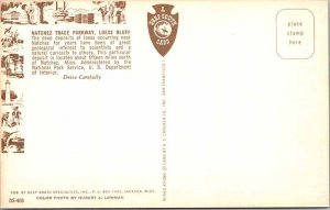 POSTCARD SCENE Natchez Mississippi MS AO5768