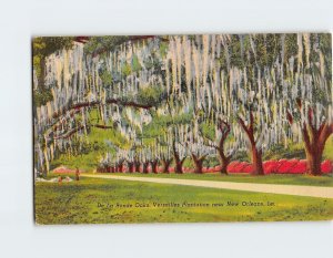 M-115563 De La Ronde Oaks Versailles Plantation Louisiana USA