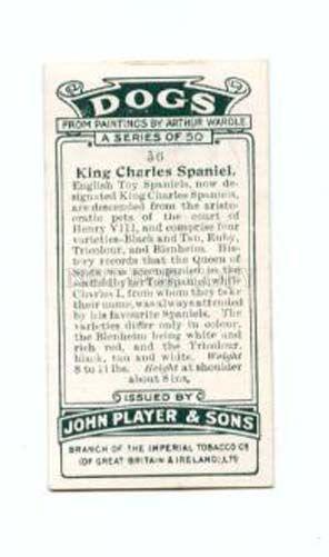 166925 KING CHARLES SPANIEL WARDLE CIGARETTE card ADVERTISING