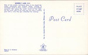 Moberly Lake BC btwn Chetwynd and Hudson Hope Postcard D65