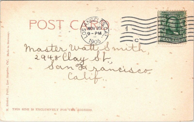 Pasadena California~Orange Grove Ave~Tree in Center of Road~Building~1905 PC