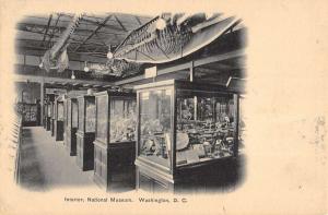 Washington DC National Museum Interior Antique Postcard K92273