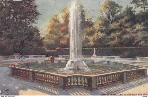 Parc De VERSAILLES, France, 19007 ; Le Bosquet Des Domes ; TUCK 944 P No. 12