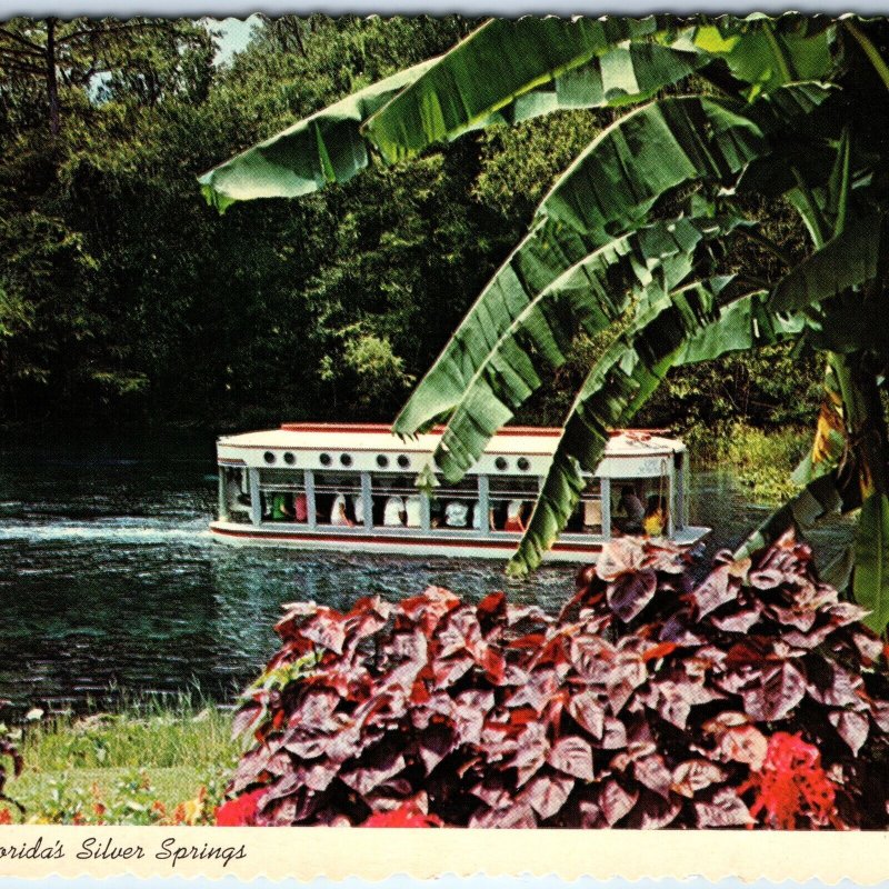 c1970s Silver SPrings, FL Glass Bottom Tour Boat Scenic Flower ABC TV 4x6 PC M13