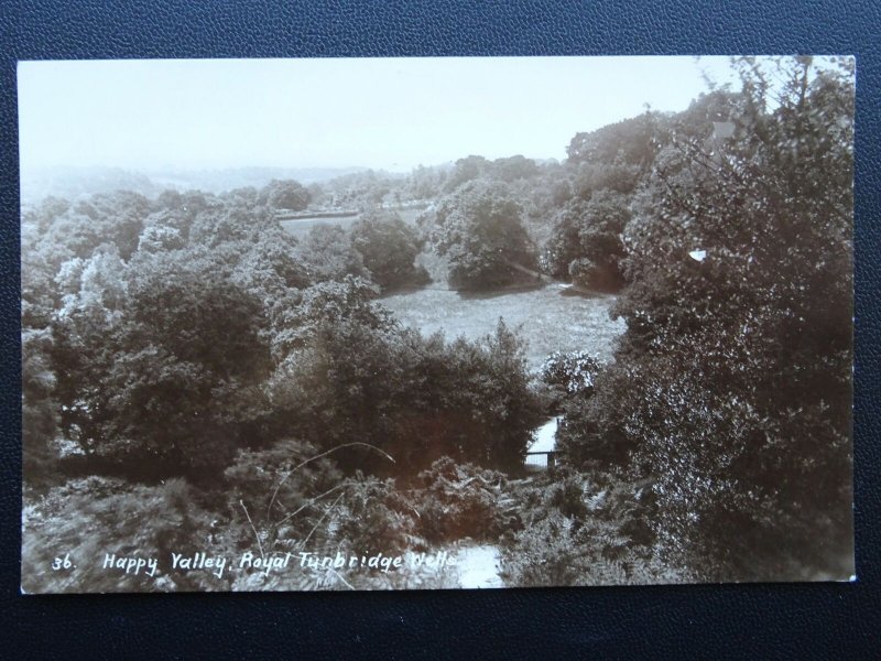 Kent ROYAL TUNBRIDGE WELLS Happy Valley - Old RP Postcard by H. Camburn