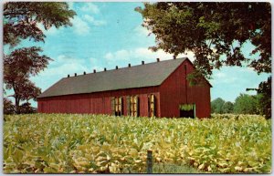 VINTAGE POSTCARD TOBACCO BARN IN TOBACCO FIELD SCOTT COUNTY KENTUCKY POSTED 1967