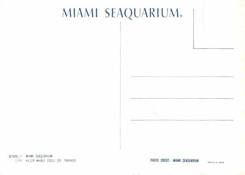 Killer Whale Cools Off Trainers, Miami Seaquarium 