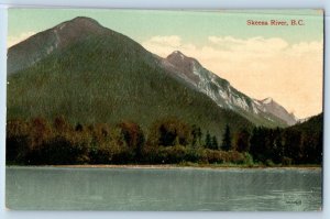 1910 British Columbia BC Canada Vintage Postcard Skeena River Exterior View Tree