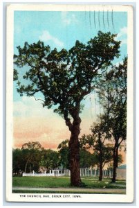 1926 Council Oak Tree Field Exterior House Sioux City Iowa IA Vintage Postcard