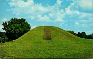 Vtg 1960s Funeral Mound Ocmulgee National Monument Macon Georgia GA Postcard