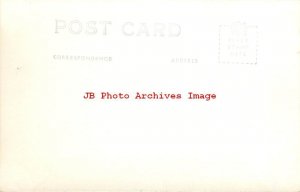 HI, Hawaii, RPPC, Hawaiian Islands, Lauhala Trees, Kodak Hawaii No H-222