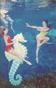 Beautiful Woman, Swimsuit, Weeki Wachee FL Living Mermaids, Sea Horse, Legs